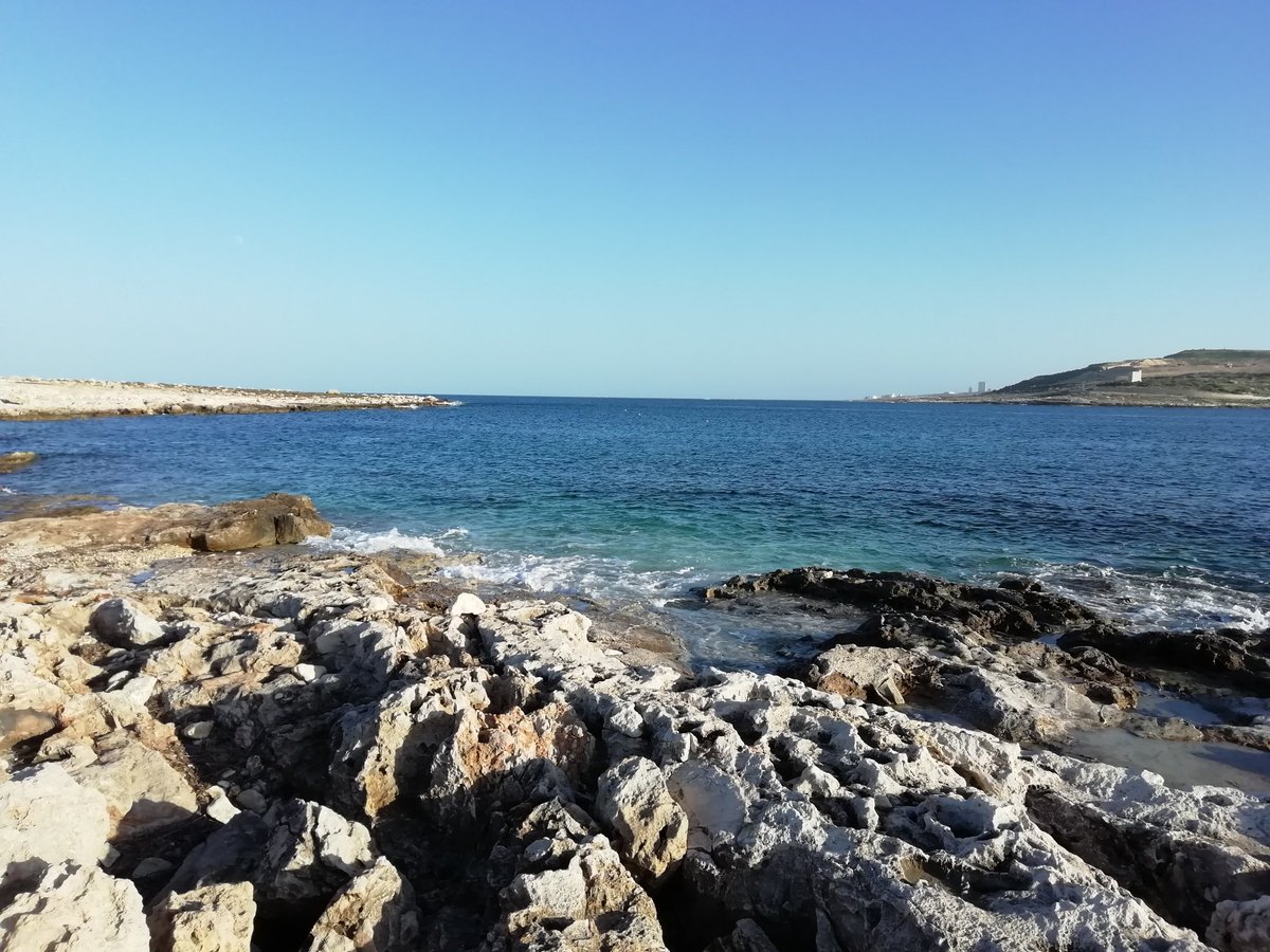MsFlower76's tweet photo. My kind of weather 🌞
#FavouriteColours #Malta https://t.co/LEK3twYykS