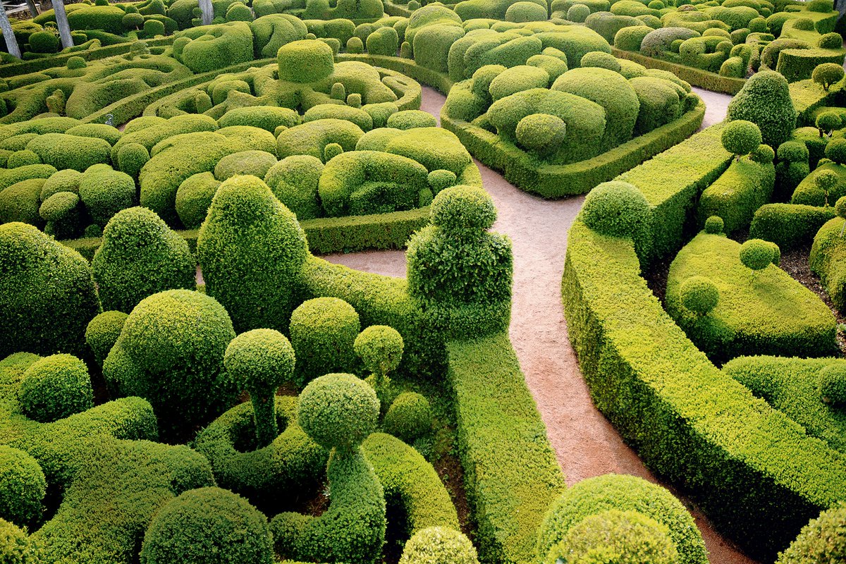WallaceConquers's tweet photo. When you ask too much of your mate’s trimming abilities…
#wasthatwrong #didisaythatoutloud https://t.co/zAxN5A92H0