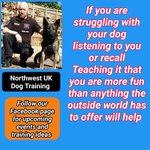 Photo by Northwest UK Dog Training (@DogNorthwest)