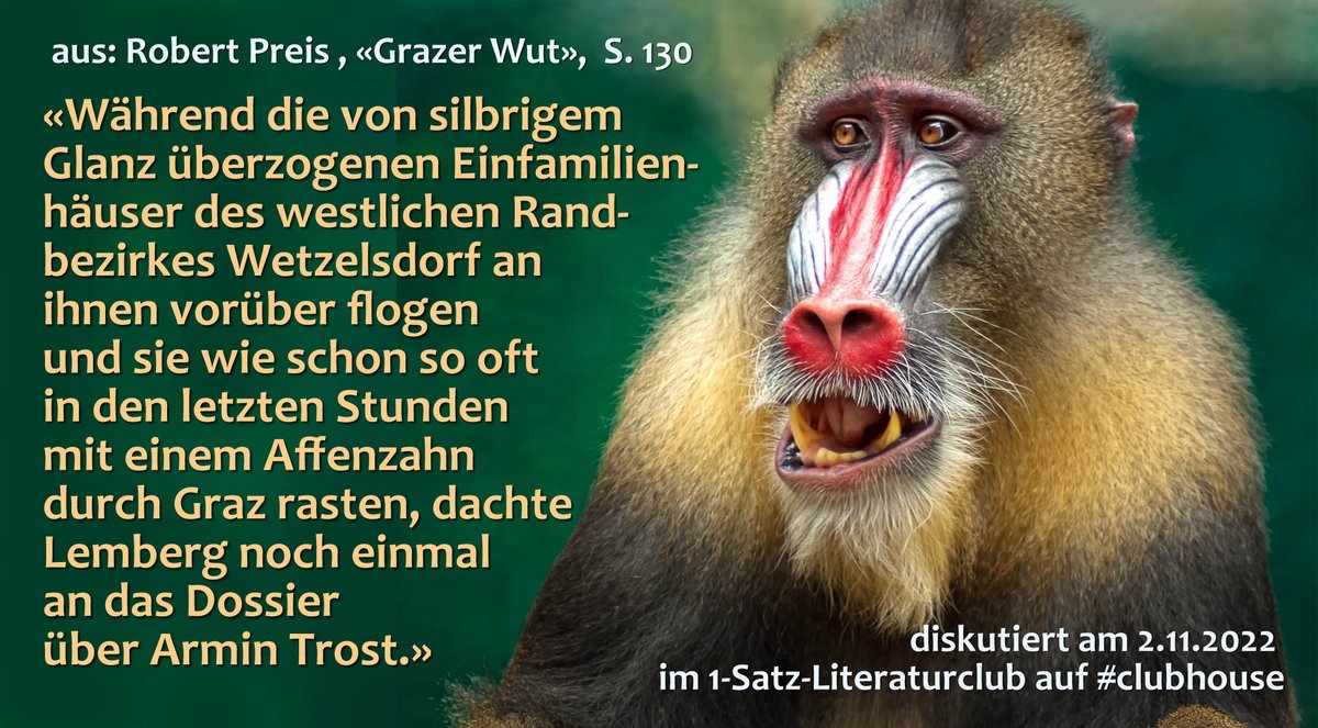 Trotz viel Info im Satz #ermitteln wir in diesem Krimi im Dunkeln. Warum leuchtet Graz silbern: #Schnee? Will heissen: Koks? #Alien-Netz? #SchöneBescherung zum 2. Advent! IN 1 Punkt sind wir uns sicher: #Mordwaffe = Affenzahn.
#RobertPreis #GrazerWut
1satzliteraturclub.com