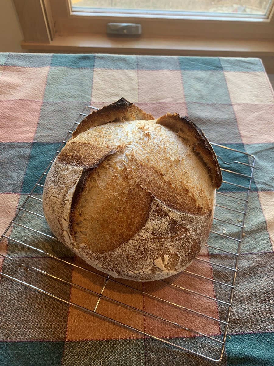 Little Goblin # 2!  #sourdough