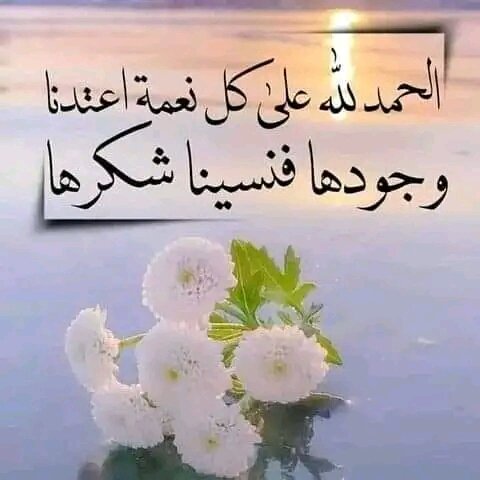 ysrljysrlj1's tweet photo. @hb_oo11 https://t.co/56tuf2yZbS