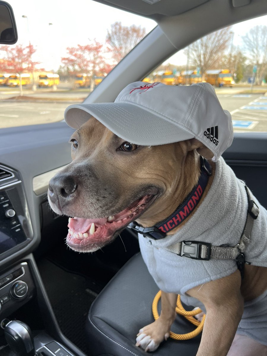 _JClarke01's tweet photo. Big game in the Robins Center today for @SpiderWBBall. Cinnamon decided to rep pretty hard today!

Go Spiders! 🕷️ https://t.co/I61EjFvoFW