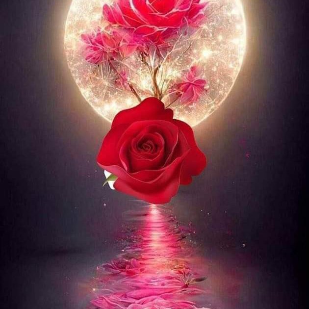 ysrljysrlj1's tweet photo. @SlamaSnaa @_i1ic فى العضل https://t.co/bFb6ub5vVn