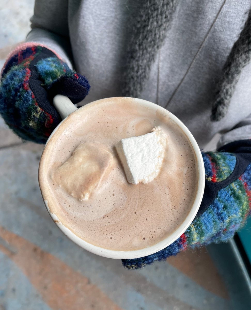 Is there anything better than hot chocolate on a cold day?! ☕️🍫❄️ 

#hotchocolate #treatyoself #wheretoeatchicago