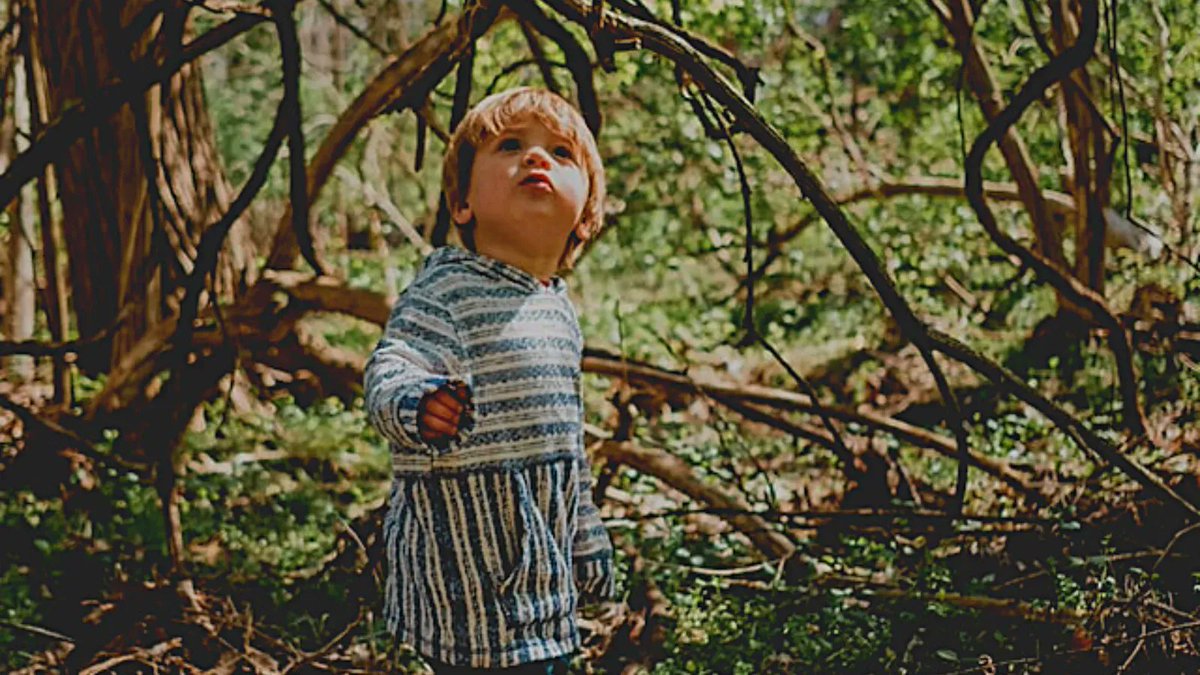 The whole world is an art gallery when you're mindful. There are beautiful things everywhere and they're free.
Charles Tart