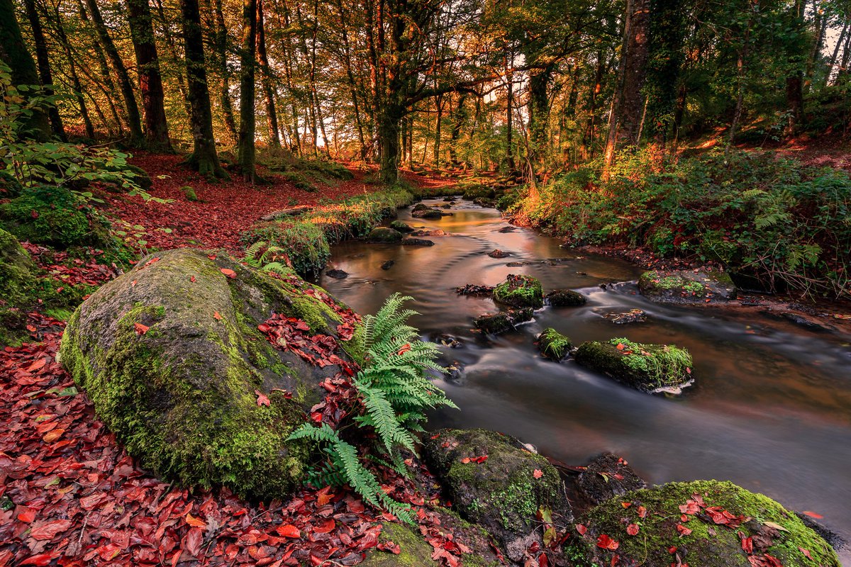 PhotoTanouarn's tweet photo. La Rance.
#MagnifiqueBretagne #Bretagne #madeinbzh #bretagne #BretagneMyLove #bretagnemagique #ePHOTOzine #FranceMagique #SonyAlpha #landscape #fall https://t.co/i6VcPiMwL3