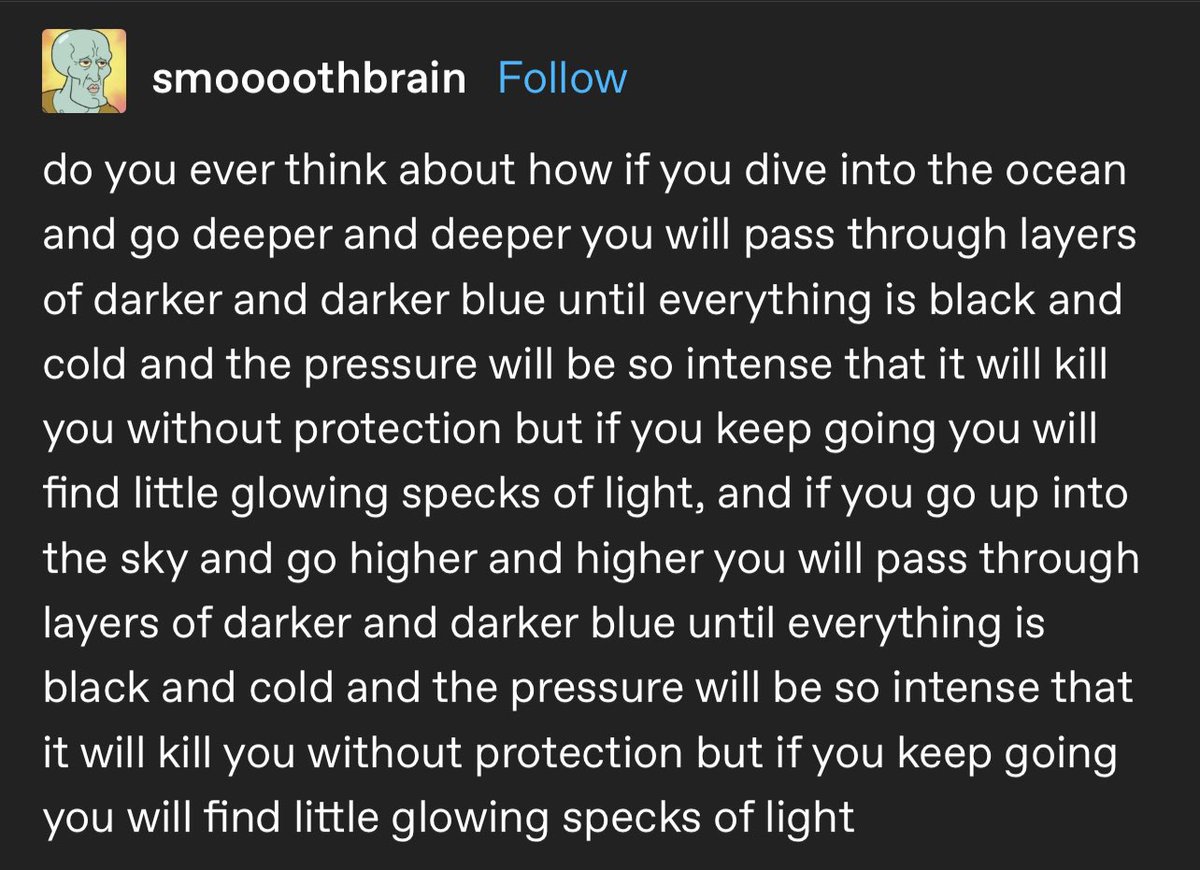 ꒰ daily aquatic lovelies ༚.° tweet media