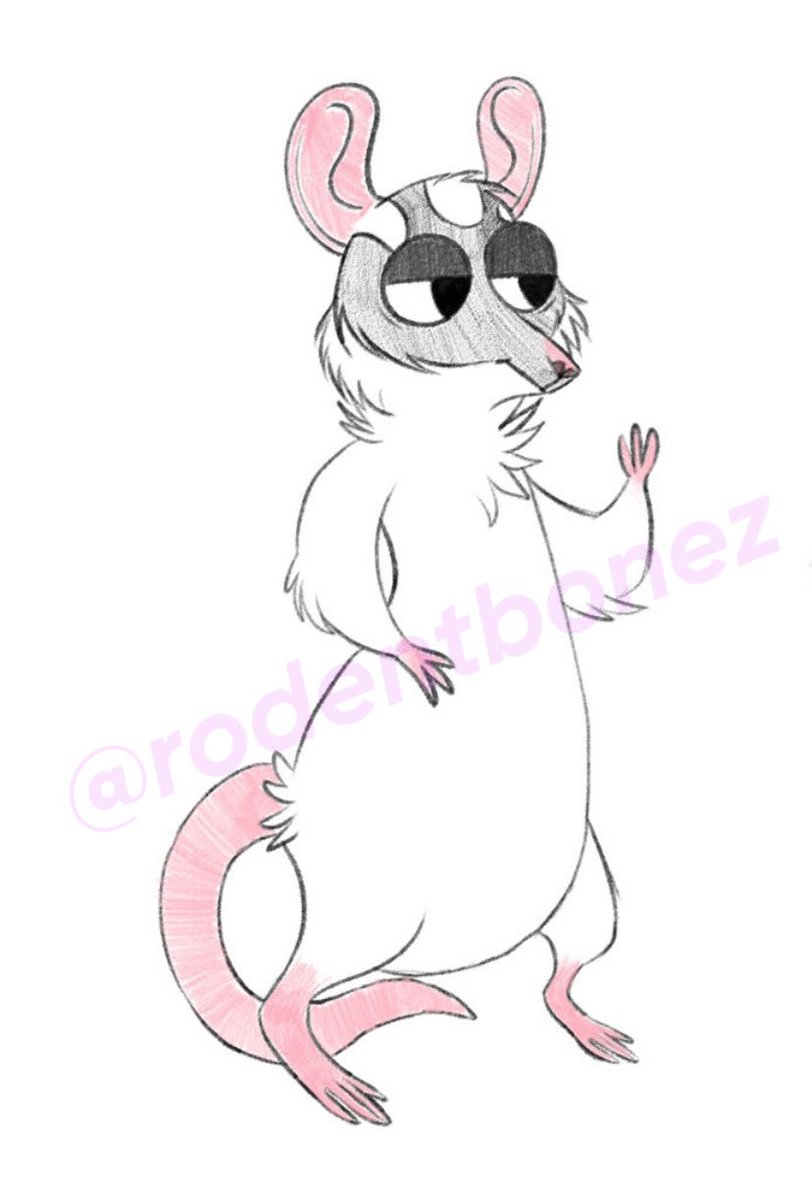 RodentBonez's tweet photo. HI THERE!
you can call me roadie! im a primarily furry artist from the USA &amp; im looking for art moots and just general exposure! 
below are some examples of what i like to draw :) 

#artist #furry #furryart #furryartist #furryfandom #furryartwork #digitalart #fursona #artmoots https://t.co/xOPSOJiQq9