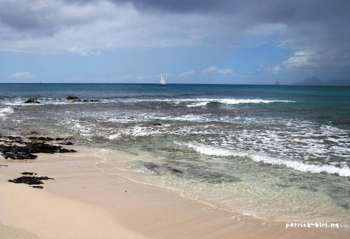 patrick_kiri's tweet photo. "Angélina #1, #2"

Tout ce bleu...

Plus de photos :
➡️ https://t.co/wwGyHhvaNT
➡️ patrick_kiri (Instagram)

#Nature #Plage #Beach #PointePie #LaCrique #LaKrik #Salines #SaintAnne #Madinina #Matinik #Matnik #Martinique https://t.co/dSSSmeWFJj