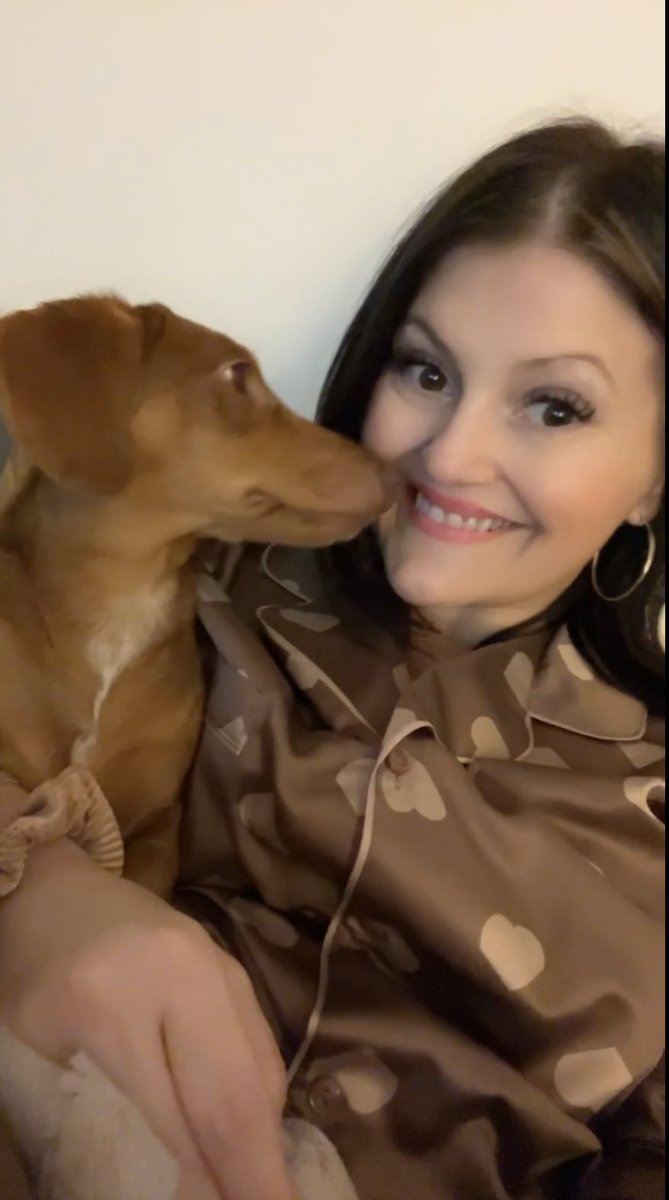 Luhob1's tweet photo. Sausage cuddles 🥰 #sausagedog #dachshund #doglife https://t.co/drJookfkIa