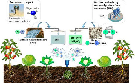 EnTechJournal's tweet image. #JustAccepted @EnTechJournal 
The use of recovered struvite and ammonium nitrate in fertigation in a horticultural rotation: agronomic and microbiological assessment
#nitrate #resourcerecovery #environmental #technology 
tandfonline.com/doi/full/10.10…