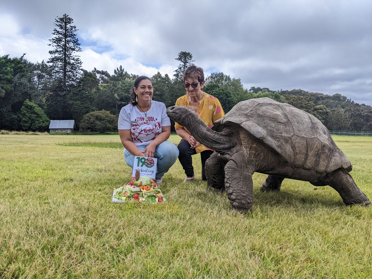 sthelenatourism's tweet image. Jonathan being presented with his 190th birthday cake at Plantation House today. Delivered to him by the wonderful staff of Plantation that care for him for a day-to-day.

#Jonathan #birthday #sthelenaisland