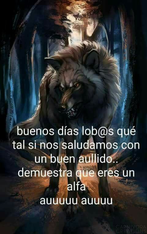 LITETORDEN's tweet photo. ㅤ

ㅤ https://t.co/fTf2EdGIJO