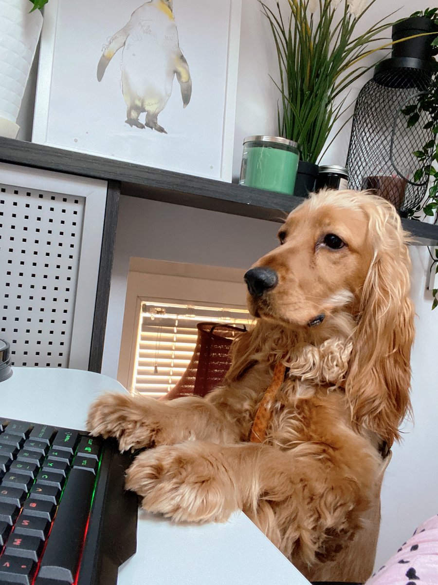 Alexis Lust on Twitter "It's time to work 😄"