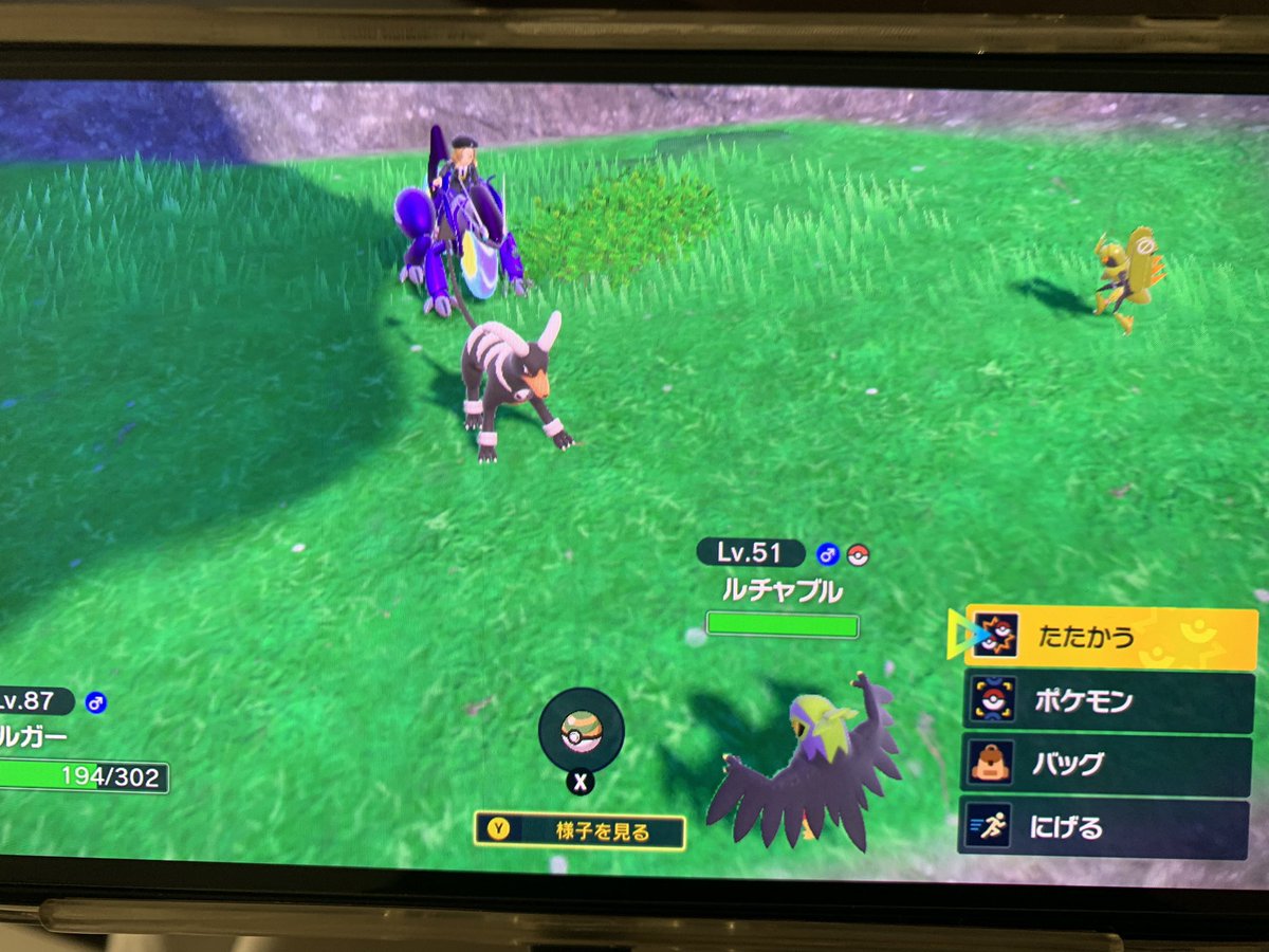 asato_camera's tweet photo. え？1/4096が同時に2匹も出てきたw 
#ポケモンSV  #色違い https://t.co/GanY23219k