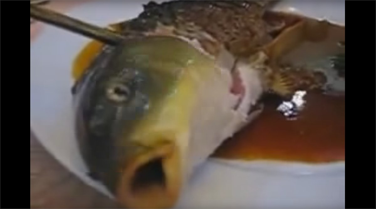 Robb Edwards 🌱 tweet media