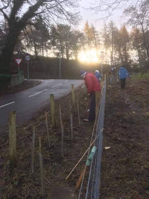 Burgh Beautiful tweet media