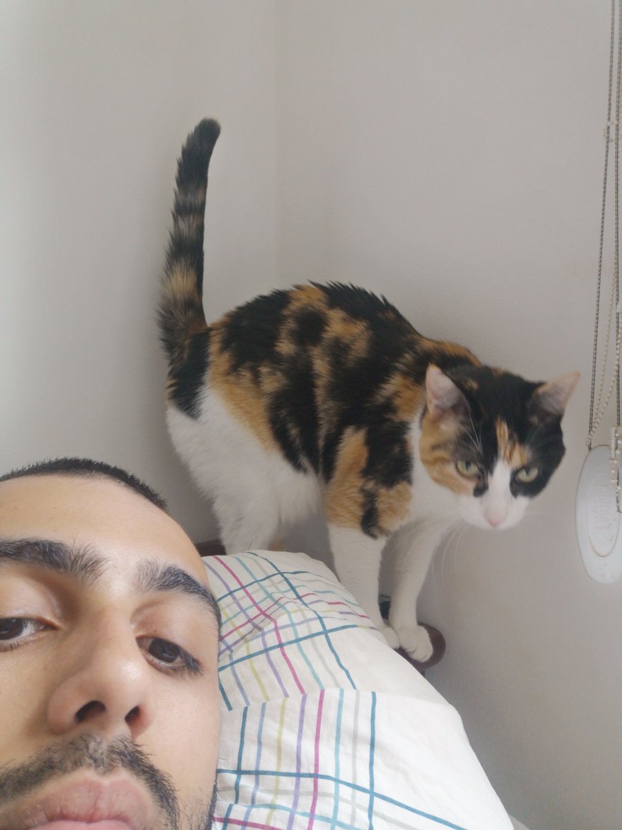 esse Rapho morreu (larguei a conta) tweet media