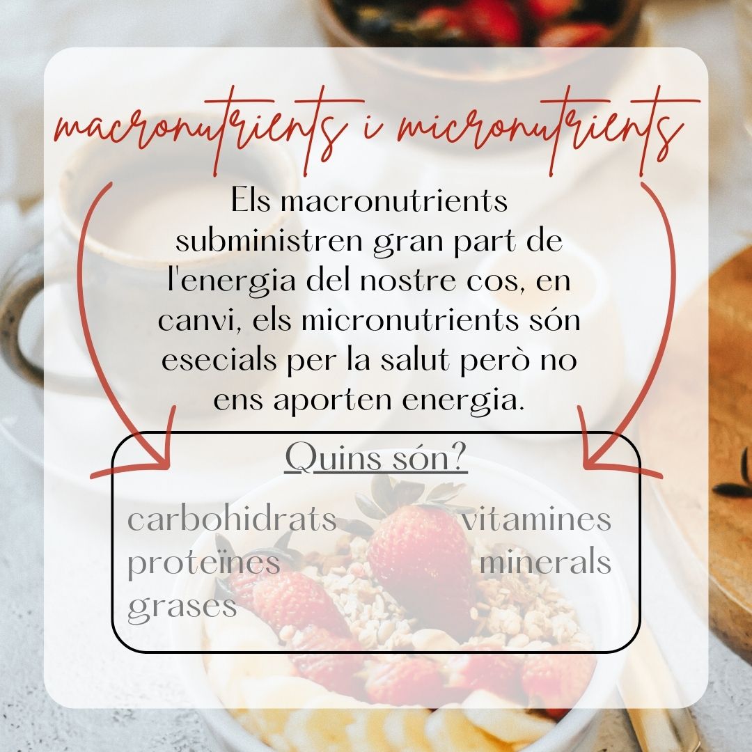 CarmenRocaUIB's tweet photo. Coneixeu els macronutrients i els micronutrients?
@EFsaludable_UIB #22121_UIB https://t.co/Nh0RnzwubQ