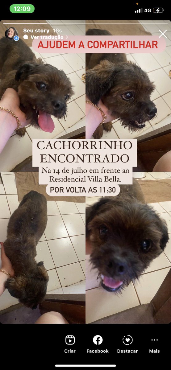 marveronezzi's tweet photo. Gente quem puder ajudar compartilhando, vamos achar o dono.. https://t.co/8d97Nejsaw