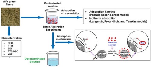 EnTechJournal's tweet image. #JustAccepted @EnTechJournal 
Potential of using Alfa grass fibers (Stipa Tenacissima L.) to remove Pb2+, Cu2+, and Zn2+ from an aqueous solution
#science #environmental #technology #biotechnology
tandfonline.com/doi/full/10.10…