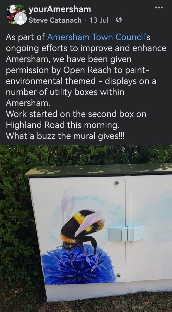 Steve Cook tweet media