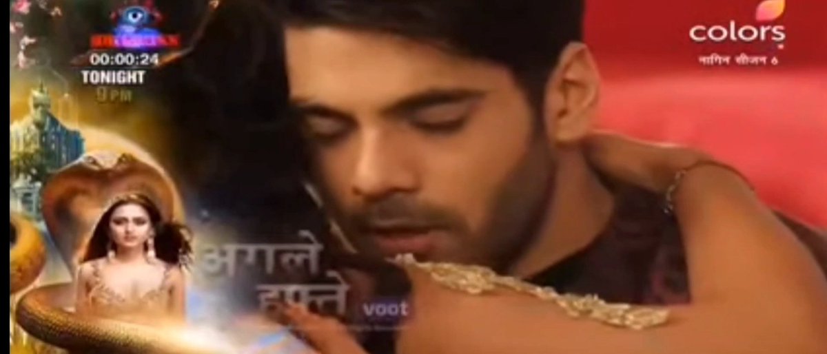 DohauTuolor's tweet photo. End of PraRish

#PraRish #Pratha #RishabhGujral  #SimbaNagpal #TejasswiPrakash  #SimTej #RuPra #RudraRaichand #Prathna #Naagin6 #Naagin6WithPratikSehajpal #Naagin6WithSimbaNagpal #Naaggin6WithTejasswiPrakash #PraTej #TejaTroops #TejRan https://t.co/5gqaFWdJDG