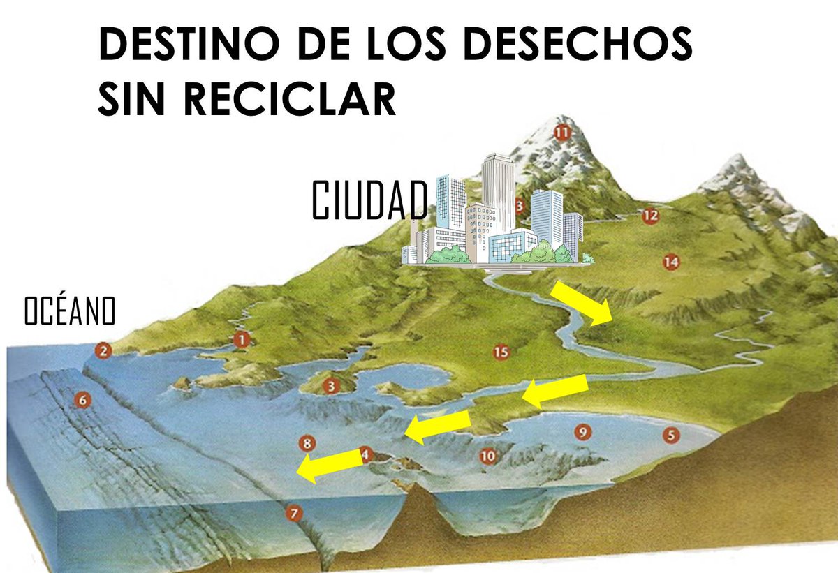 Amigos del reciclaje tweet media