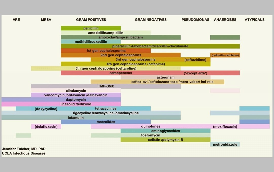 Antibiotic coverage cheat sheet @FulchJen #MedEd