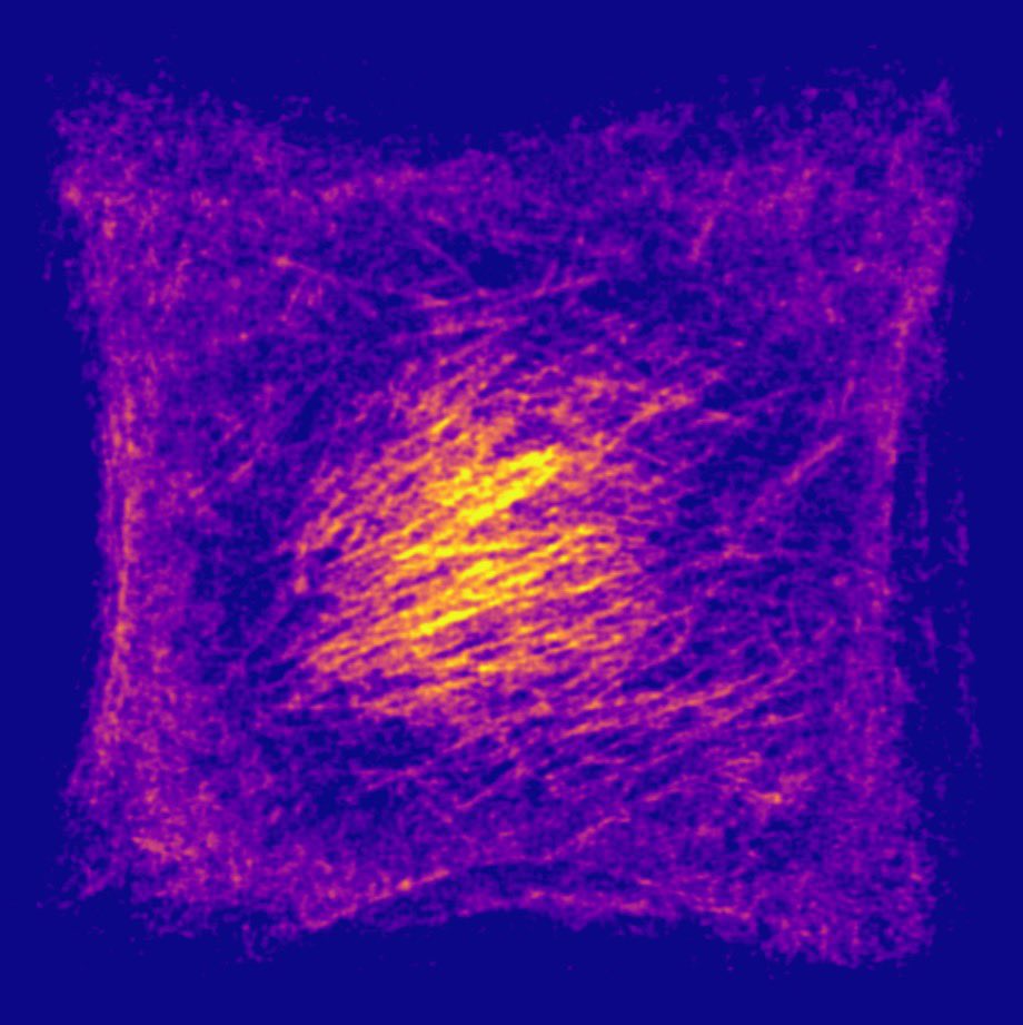 maggie_utgaard's tweet photo. Very excited to present my first poster at #ASCB2022 in the Higher Order Actin Structures session today from 12:15-3:15. Come see me at poster B75 to talk about septins and subnuclear networks! https://t.co/ZUFcIl0T2C