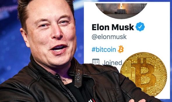 healthy_pockets's tweet photo. 🔥BREAKING: #Elonmusk ha ANUNCIADO que #Twitter DEBE aceptar las #Crypto como medio de pago además del pago en FIAT 🥳🔥 #Bitcoin https://t.co/cyYnyp5hoG