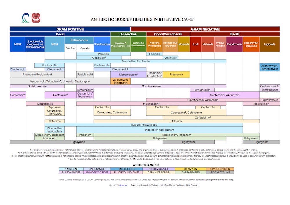 @FulchJen Comprehensive antibiotic coverage @stpbasileo #Medtwitter