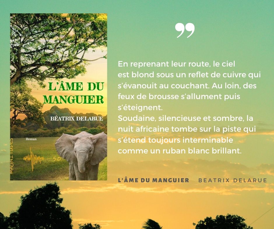 BeatrixDelarue's tweet photo. Il paraît qu'il va #neiger dans notre vallée de l'#auxois, vous avez le choix pour #lire et #découvrir la #nouvellefrance de #paris à #Québec avec Madeleine et Marguerite ou l'#Afrique des #annees50 avec Joséphine et Jasmine...❄☃️🎄
#voyages #dépaysants
#enlibrairie #ebook https://t.co/EKsBqsJWO2