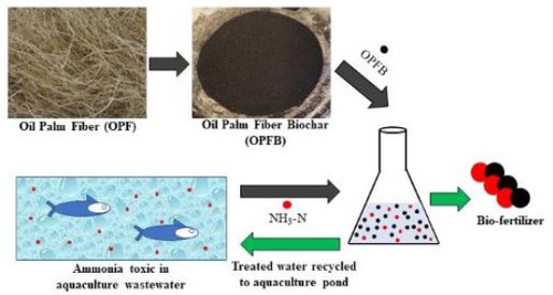EnTechJournal's tweet image. #JustAccepted @EnTechJournal 
Appraising the Performance of Oil Palm Fiber Biochar for Low Concentration Ammoniacal Nitrogen Recovery from Aquaculture Wastewater
#wastewater #ammonia #nitrogen #wastewater #aquaculture 
tandfonline.com/doi/full/10.10…