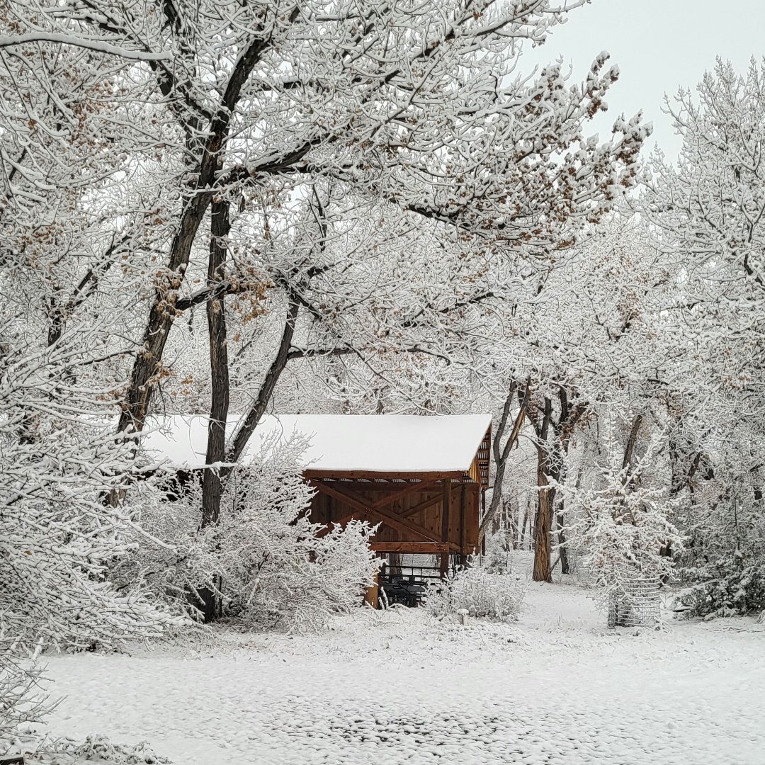 polycotscoop's tweet photo. #SnowDay at the #Polycot Retreat in #Abiquiu #NewMexico !

#snow #travel #community #coop #coops #coopsrock #winter #winterwonderland #winterfun #nm #nmwinter #newmexicowinter #nmtravel #Ice #cold https://t.co/pZYJJnKnRa
