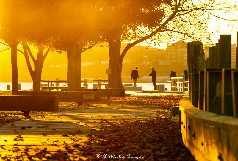 billxp845's tweet photo. Golden Hour Sunset
Two Souls Enjoy The Moment
Long Dock Park Beacon
.
.
#haiku #sonyalpha #hudsonvalley #optoutside #chronogram #nystateparks #nynjtc #ilovenewyork #hudsonrivervalley #hvmag #createnomatterwhat #myhvmoment #visitvortex #beaconny #longdockpark #scenichudson https://t.co/1J6JpGcj4Y