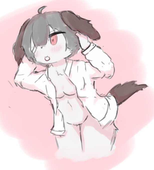 身支度たまちゃん 