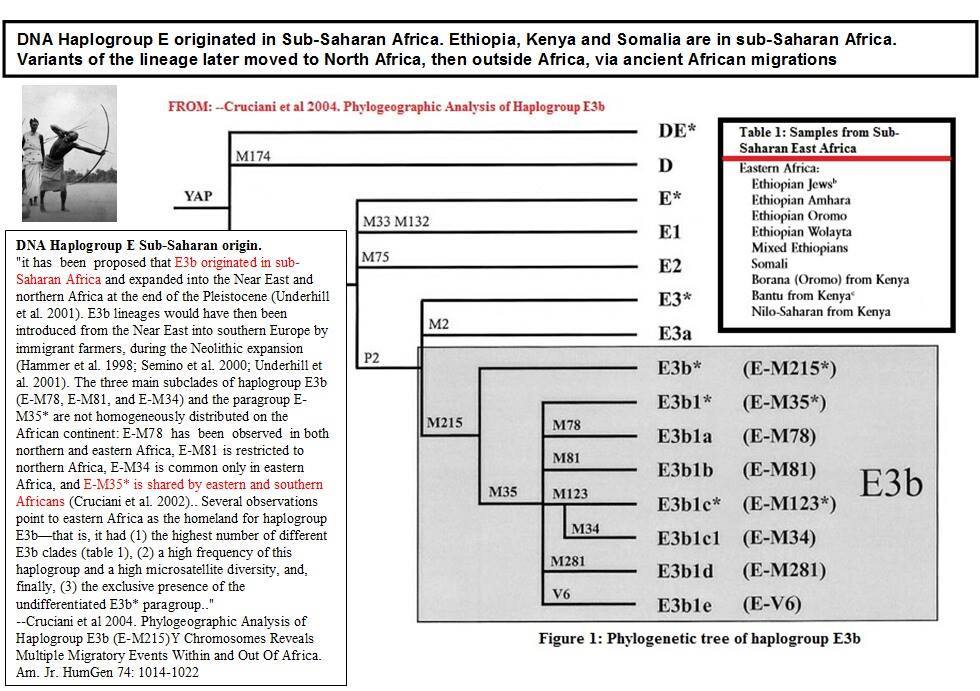 RedibisHosting's tweet photo. @Calamondins1 @kokagenda Basal Eurasians had no Neanderthal DNA and they were Black people. Moreover, Neolithic Levant is always a match to Black North Africans of their time period and genetic match, especially among modern Sahelian West Africans. The M1 &amp; E3c among ancient Eurasians is African still. https://t.co/VPAhYqOmiE