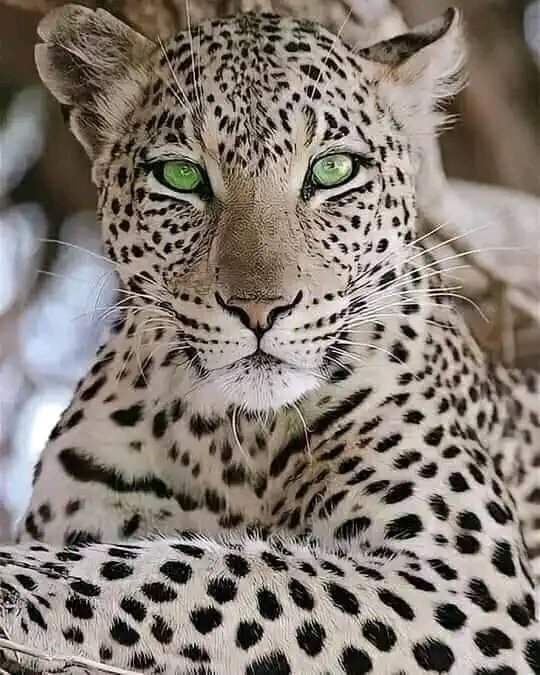 Aziz akhrraz (@mr_redmi01) on Twitter photo 