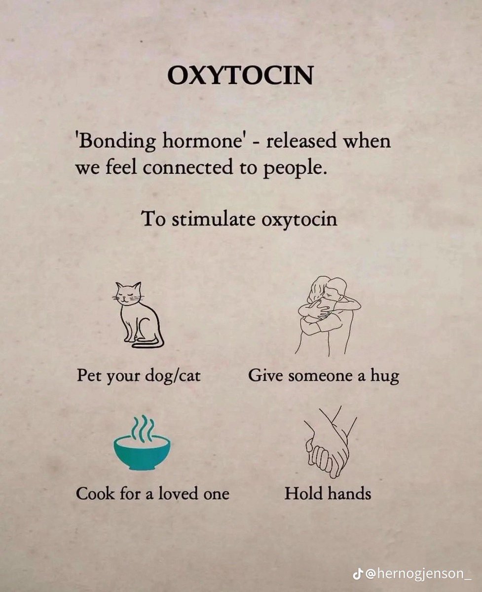 Greekgodx's tweet photo. How to hack your body hormones🤭💻👾 https://t.co/dAYDijnwtr