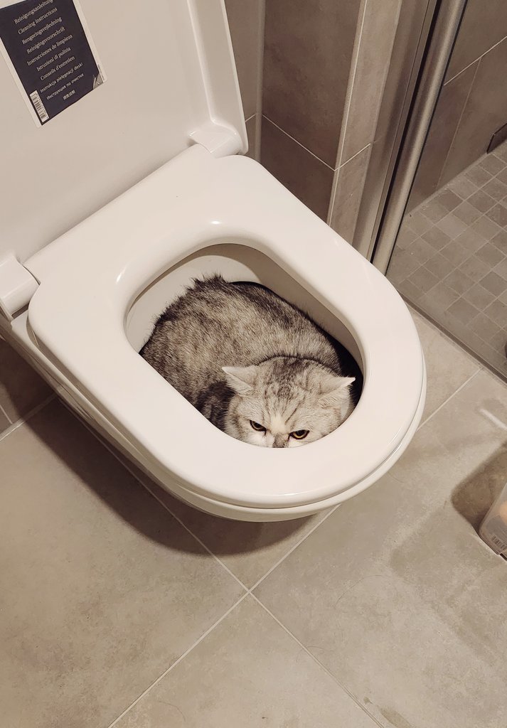 Mocchi™✨ tweet media