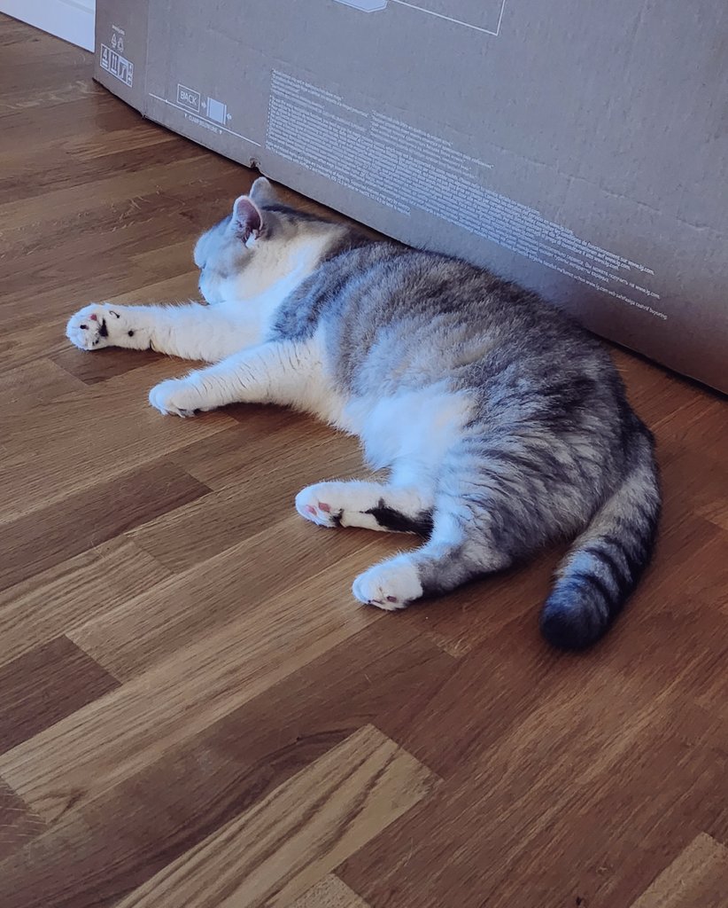 Mocchi™✨ tweet media