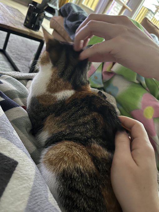 Birthday shenanigans with @almosttoasty @milomauwmauw @evariin @SpecTheGhost @BiTwink18 💕 https://t.<a class="tags" href="/tag/almosttoasty">@almosttoasty</a><a class="tags" href="/tag/milomauwmauw">@milomauwmauw</a>