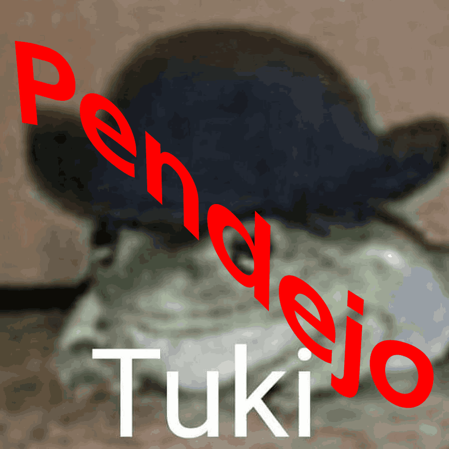 Tuki 2 tweet media
