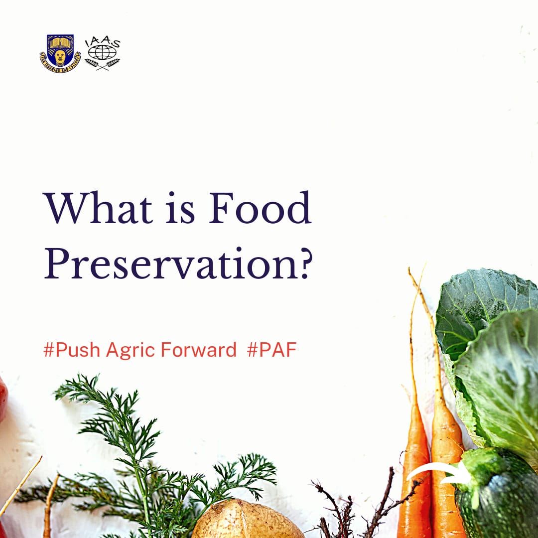 IaasOau's tweet photo. #OperationPushAgricForward Day 5!
"Preserve and treat food as you would your body, remembering that in time, food becomes your body"
B. W.Richardson
Food isn't preserved only for the present but also for the future. It is a form that improves rather than wastes.
#PAF #IAASOAU https://t.co/ZSUqoluwNT