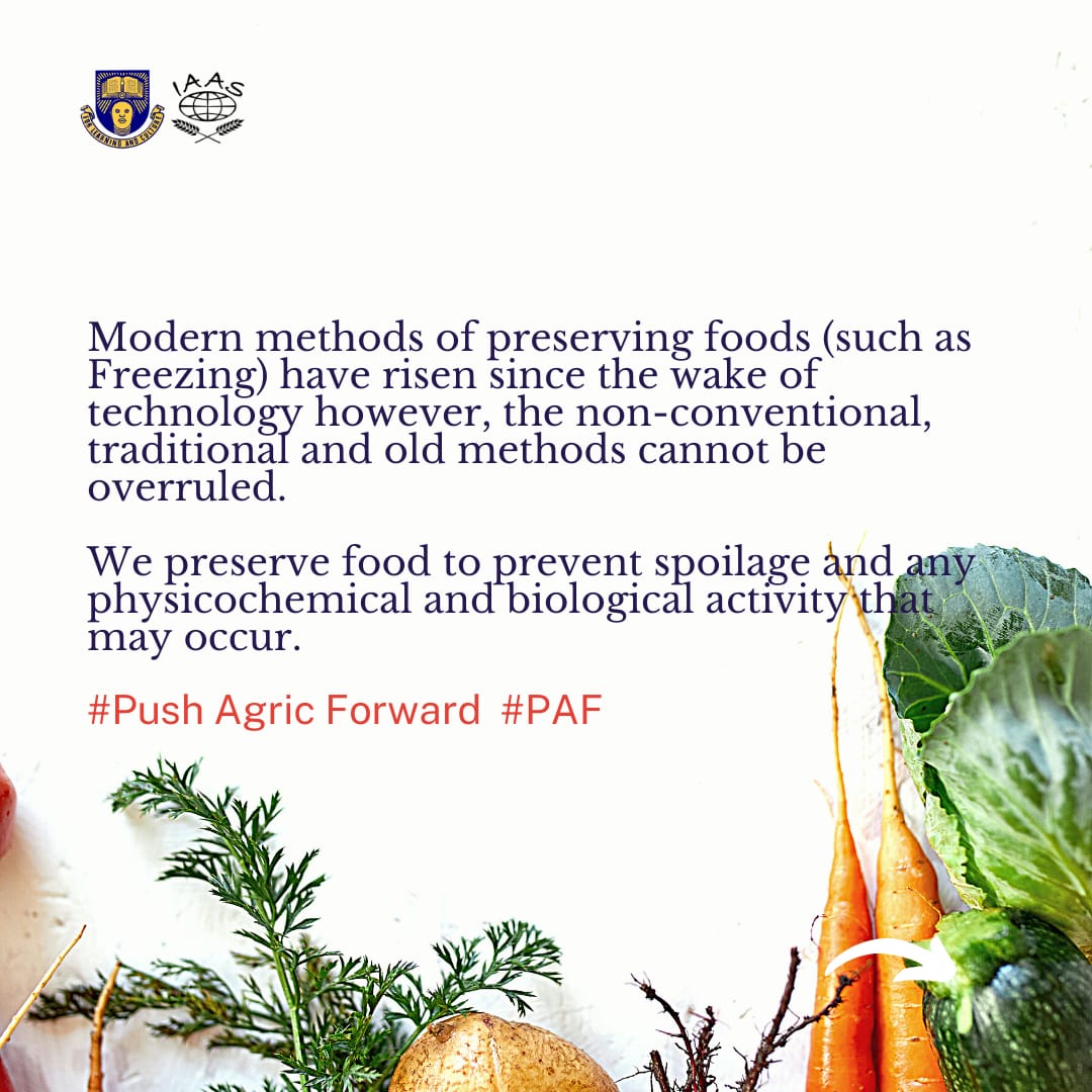 IaasOau's tweet photo. #OperationPushAgricForward Day 5!
"Preserve and treat food as you would your body, remembering that in time, food becomes your body"
B. W.Richardson
Food isn't preserved only for the present but also for the future. It is a form that improves rather than wastes.
#PAF #IAASOAU https://t.co/ZSUqoluwNT