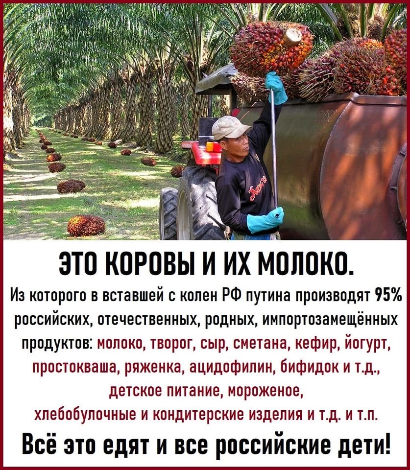 На таком масле, поставки которого в Россию контролируются Володиным, держится 95% нашей пищевой и 70% лакокрасочной промышленности РФ.