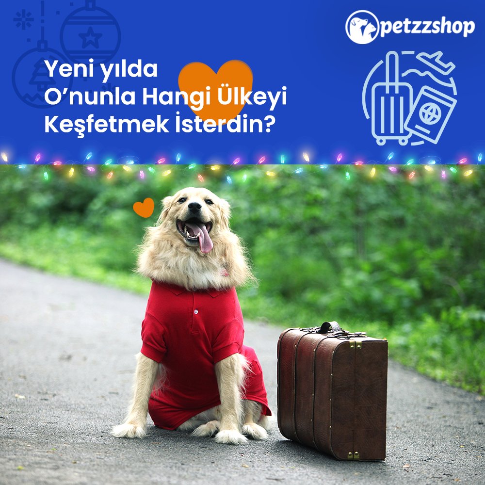 Dostunuzla hangi ülkeyi keşfetmek isterdiniz? Yorumlarda buluşalım.💙

Sevimli dostunuzla yapacağınız yolculuklarda en az sizin kadar konforlu olmak onun da hakkı!🐶

Tüm seyahat ürünlerini petzzshop.com üzerinden inceleyebilirsiniz.