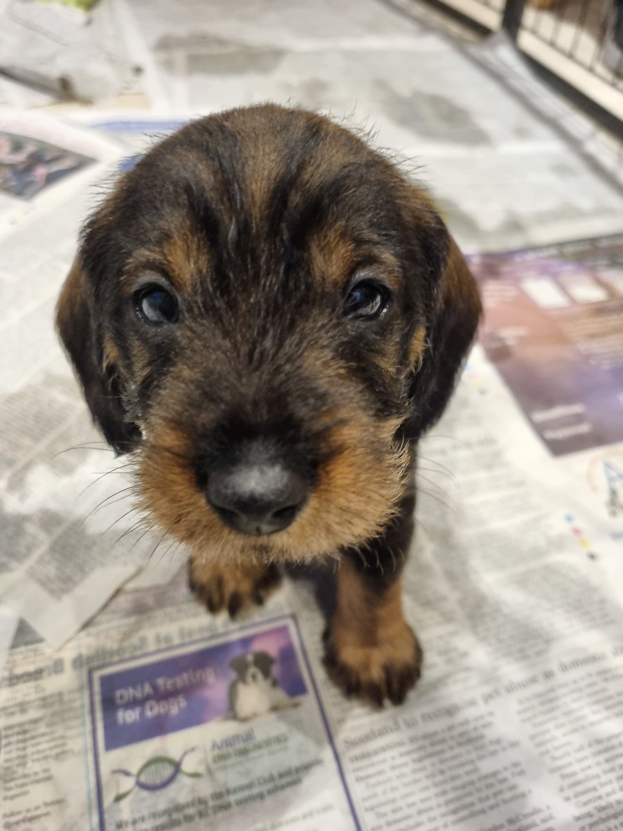 Our new baby boy 🥰🥰🥰♥️♥️♥️